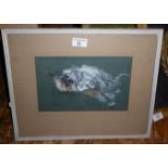 A pastel picture of a Pekingese dog by Eva MACKINNON (1909-1999), local artist