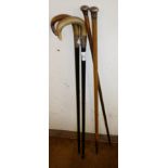 Two silver topped walking canes and two silver mounted walking sticks with horn handles