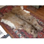 A Deerskin hearth rug