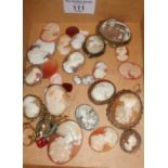 Collection of 25 cameos and cameo brooches