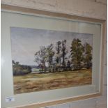 Edward L Grassby a watercolour landscape with elm trees painted in 1976 "just as Dutch Elem