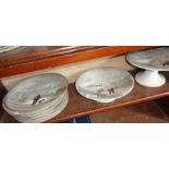 Travel interest - Early 20th c. Polar expedition painted porcelain plates (8)