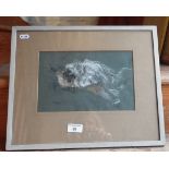 A pastel picture of a Pekinese dog by Eva Macjinnon (1909-1999) local artist