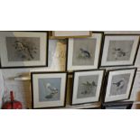 Set of six framed colour prints of birds by F. Lansdowne
