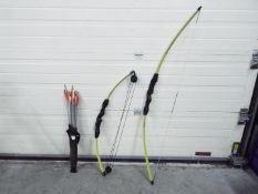 Two Barnett bows and a quiver of arrows.