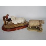 Border Fine Arts - Cattle study, Charolais Bull (Lying), # A4246, on wooden plinth,