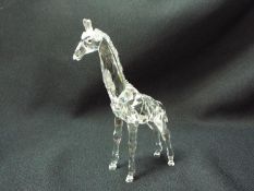 Swarovski - A boxed model from the African Wildlife series, Baby Giraffe, with certificate.