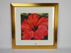 A framed watercolour floral study, titled verso Scarlet Hibiscus,