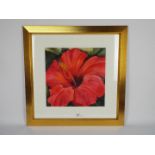 A framed watercolour floral study, titled verso Scarlet Hibiscus,