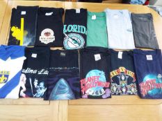A job lot of 12 various tee shirts, pred