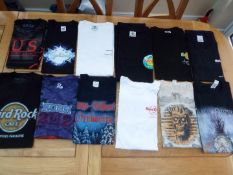 A job lot of 12 Tee shirts, all different, sizes M and L,