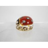 Royal Crown Derby - A paperweight in the form of a ladybird (seven spot), with gold stopper.