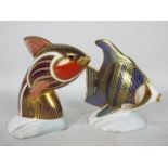 Royal Crown Derby - Two fish form paperweights comprising Guppy and Angel Fish,