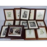 A collection of framed prints comprising