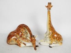 Two Lomonosov Porcelain studies of giraffe, largest approximately 30 cm (h).