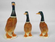 Three Beswick mallard duck studies, largest approximately 13.5 cm (h).