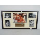 A framed Bruce Lee photograph montage with informational plaque, approximately 40 cm x 75 cm.