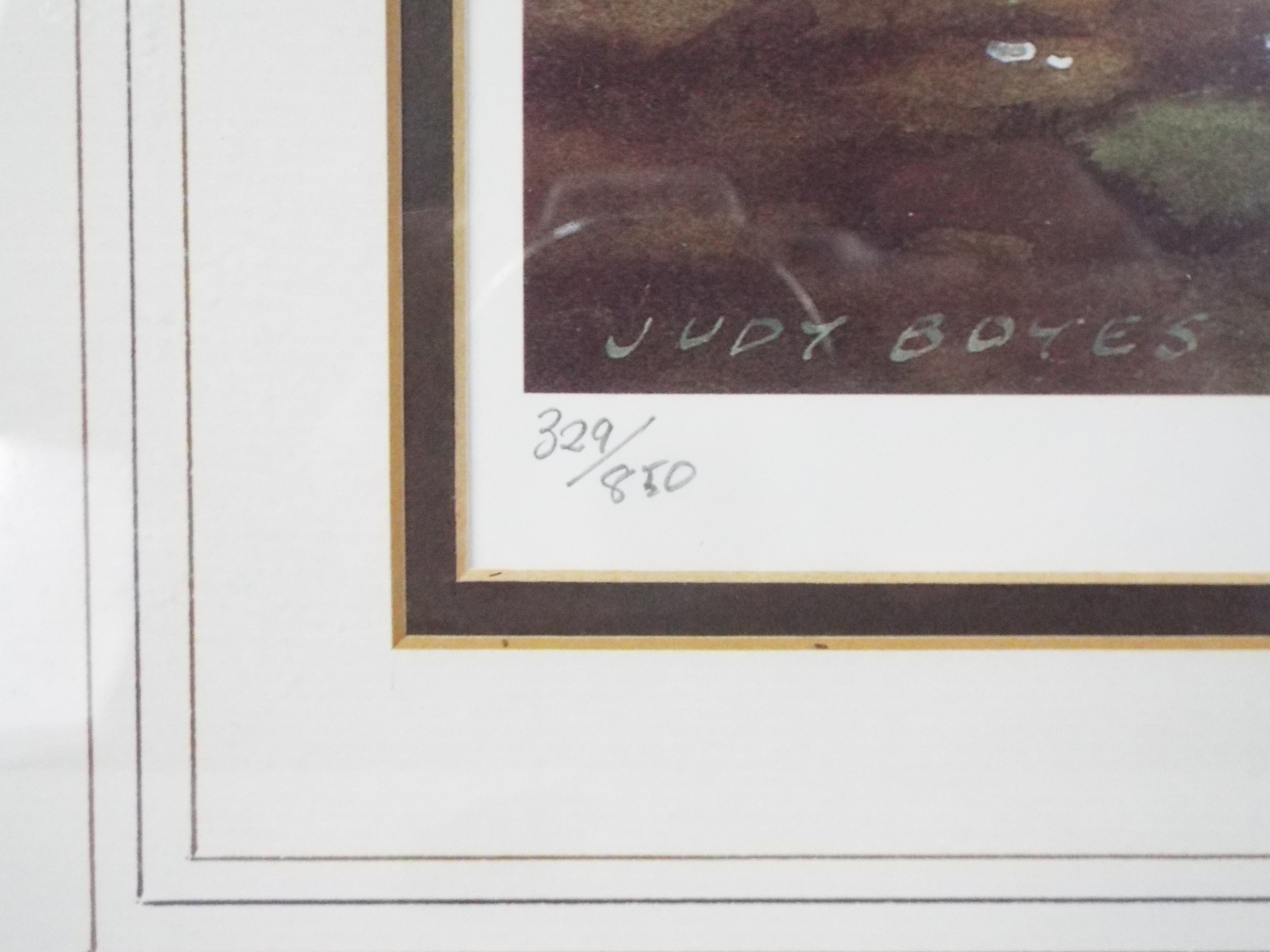 Two limited edition prints after Judy Boyes, signed in pencil and numbered by the artist, - Image 6 of 8