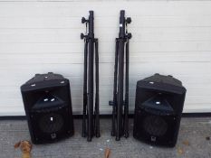 A pair of passive P.A speakers with 12" cones.