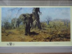 A limited edition print after David Shepherd entitled The Land Of The Baobab Trees,