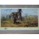 A limited edition print after David Shepherd entitled The Land Of The Baobab Trees,
