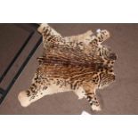 Tiger/Leopard/ocelot cub skin rug.