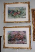 DM & EM Alderson, Two Game Bird studies in gilt frames, signed and dated 1969, 18cm by 27cm (pair).