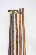 Five 19th Century walking sticks (some silver mounted).