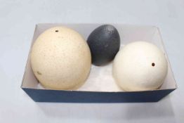 Two large Ostrich eggs and smaller dark coloured egg (3).