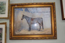 DM & EM Alderson, Horse portrait - 'Mick M'quaid, Maleager-Gra-ma-cree.