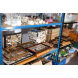 Large collection of cased and framed lepidoptera specimens.