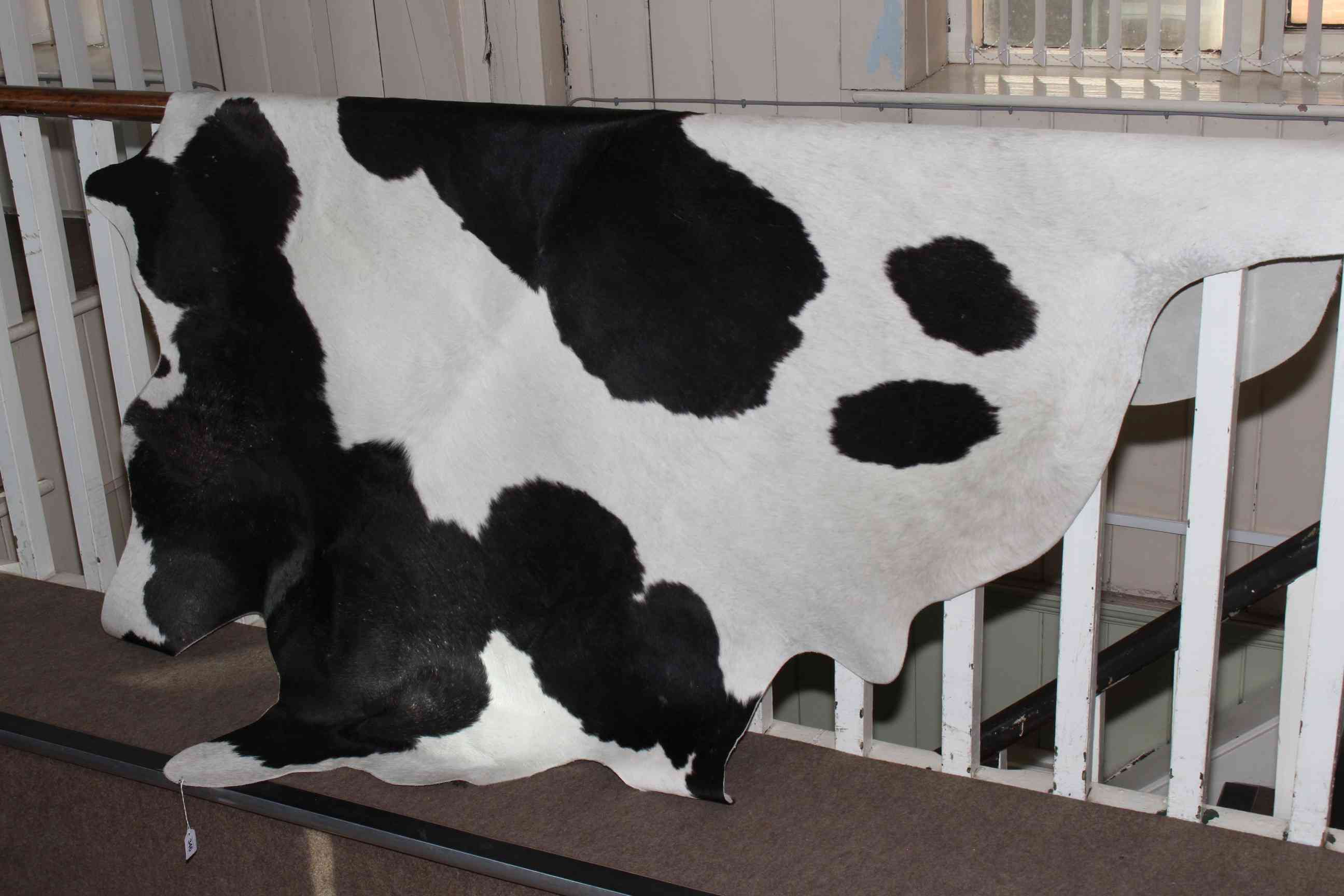 Cow hide rug.