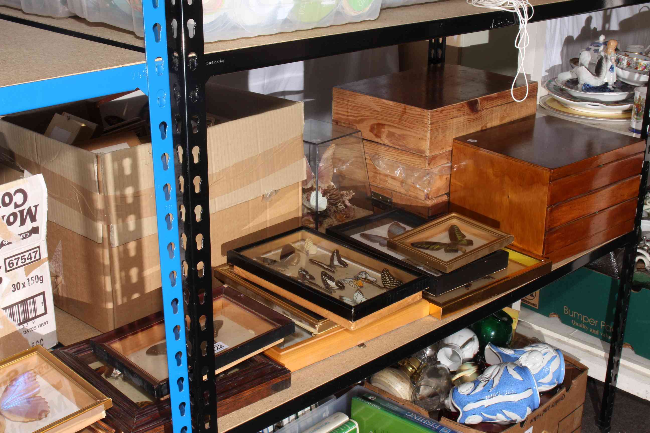 Large collection of cased and framed lepidoptera specimens. - Image 3 of 4