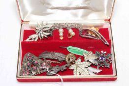 Jewellery box and jewellery, mostly brooches.