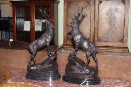Pair of impressive bronze models of stags standing on rocky outcrops upon marble bases, 74cm high.