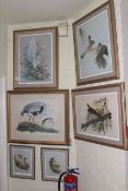 Pauline Berkeley six framed limited edition ornithological prints.