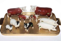 Beswick farm animals including Hereford Bull, Cow and two Calves, two Pigs, Ch. Wall Queen and Ch.