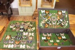 Box containing West African Butterfly and Moth specimens.