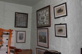 Collection of various framed pictures and prints including Wills cigarette cards,