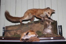 Taxidermy fox on a stand staring at a rabbit, together with a fox cub.