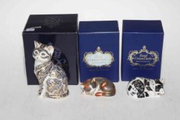 Three Royal Crown Derby paperweights including Misty, Catnip Kitten and Majestic Cat, with boxes.