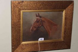 Alfred G. Haigh, Horse Study, oil on board, signed an dated 1918 lower right, 24cm by 34cm framed.
