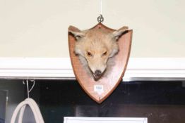 Taxidermy mounted fox head and an inlaid mahogany plant stand, 94cm high.