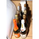 Eleven bottles of alcohol including Ayala Brut, Charles De Fere Brut, Martini, Bucks Fizz, etc.