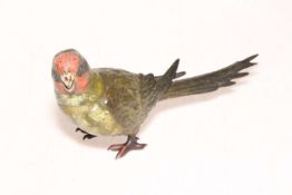 Bergman cold painted bronze Musk Lorikeet, 22.5cm length.