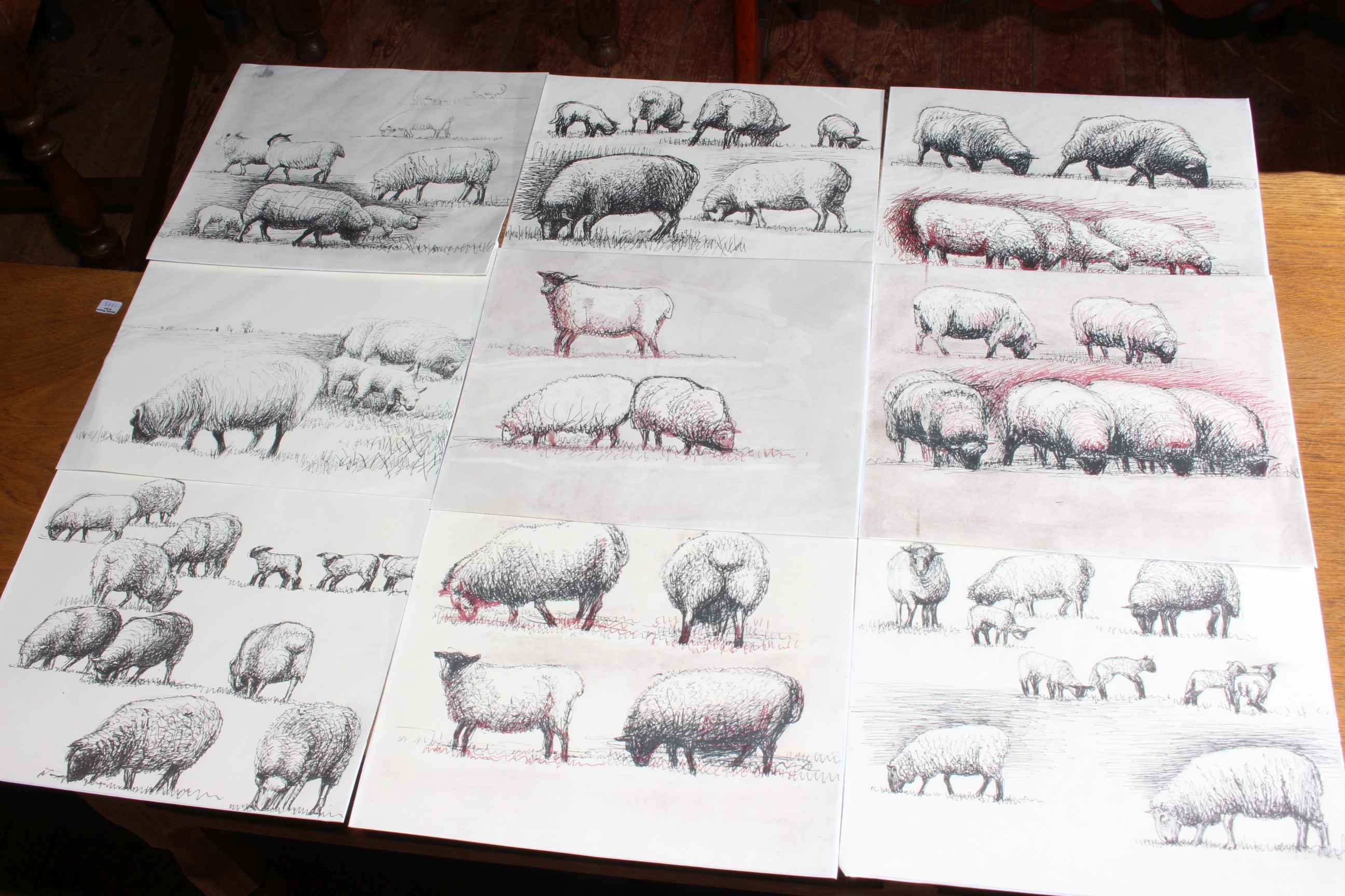 Set of six lithographs of Cattle and 33 Sheep prints.