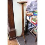Dished top mahogany plant stand on pedestal tripod base, 138cm.