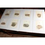 Set of eight prints of engravings of Morris's British Nests and Eggs.