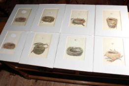 Set of eight prints of engravings of Morris's British Nests and Eggs.