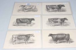 Set of six lithographs of Cattle and 33 Sheep prints.